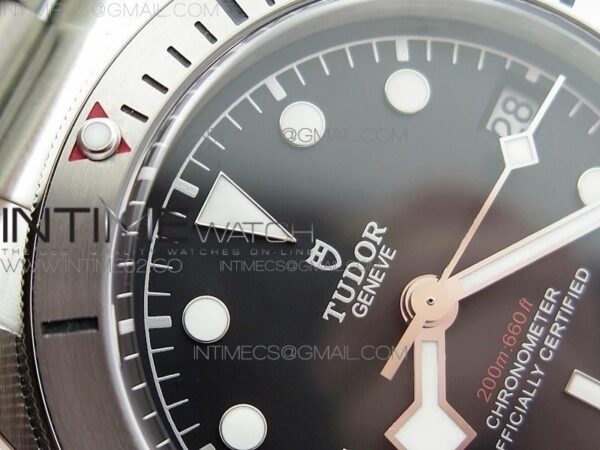 HERITAGE 2016 BLACK BAY SILVER BEZEL - Image 13