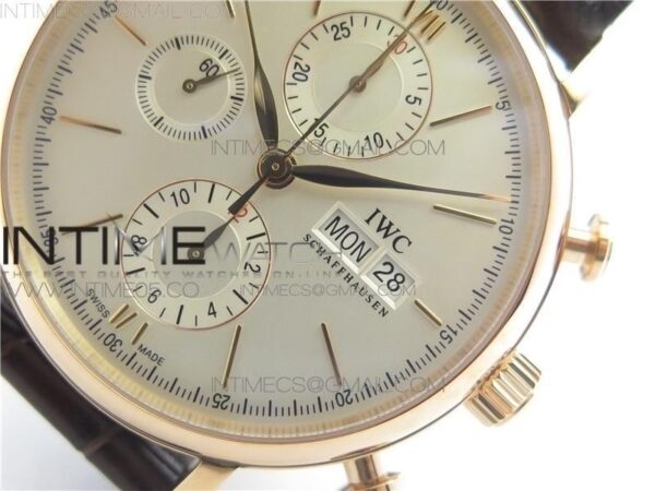 PORTOFINO CHRONO RG ZF - Image 2