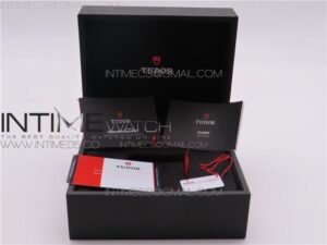 TUDOR BOX AND PAPERS NEW VERSION